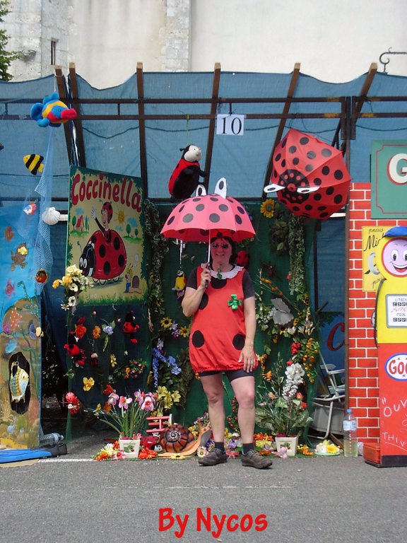 Coccinella 031.jpg